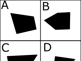 Shape Classification II example question